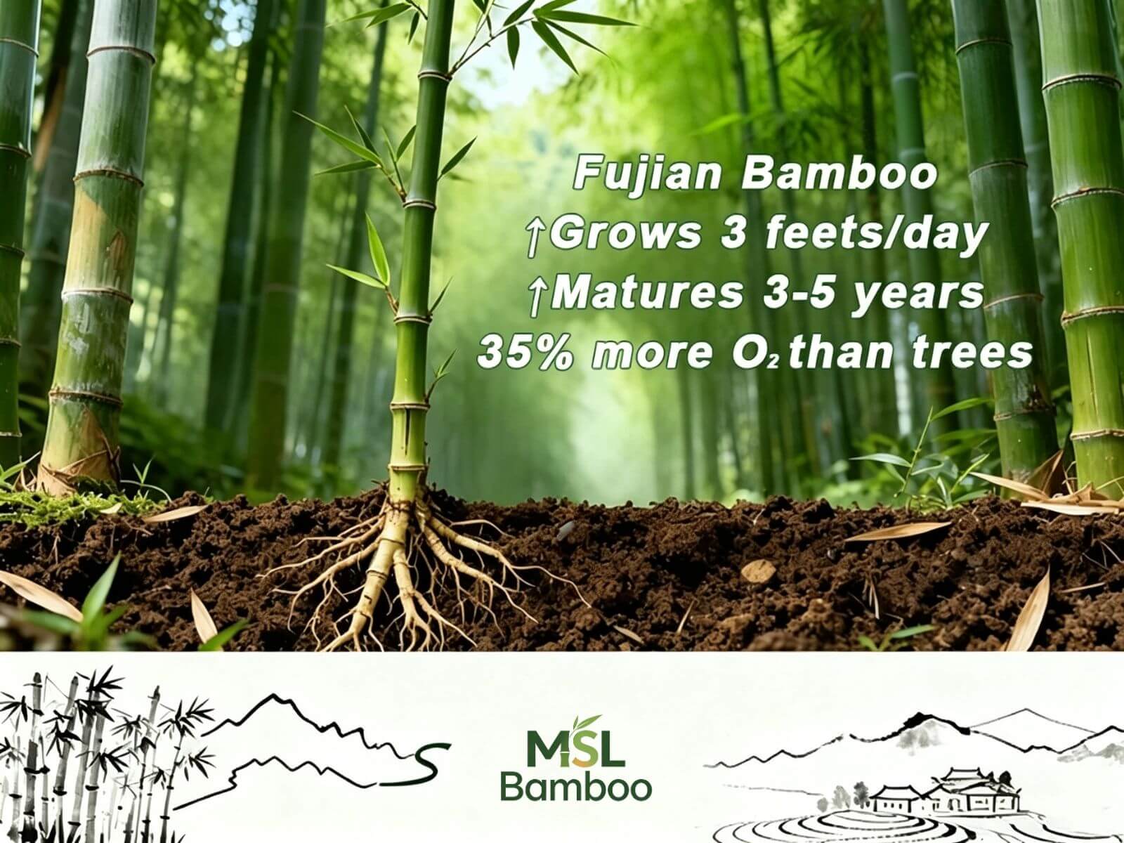 Bamboo forest and natural materials